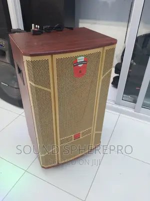 Fujister Powered 15inch Speaker With 2 Wireless Microphone