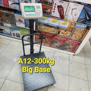 A12 Digital Weighing Scale/Gas Weighing Scale 300kg