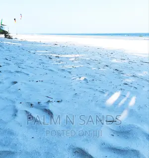 One Acre Prime Beach Plot
