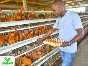 3floor Chicken Layer Cage Available