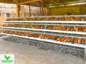 3floor Chicken Layer Cage Available