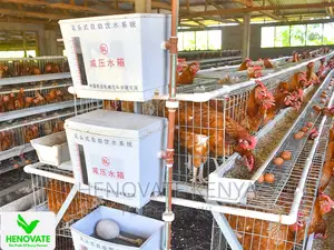 In Kenya 3floor Chicken Layer(Saves Space)