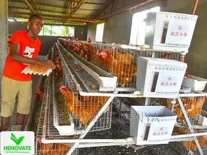 In Kenya 3floor Chicken Layer(Saves Space)