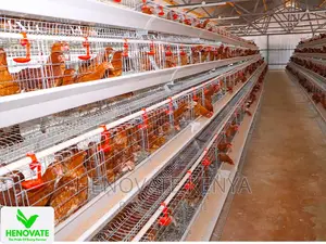 4floor Available(Chicken Layer Cage)Ruiru
