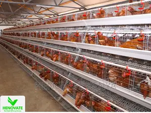 4floor Available(Chicken Layer Cage)Ruiru