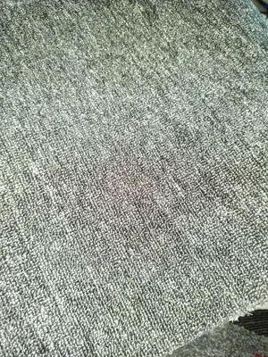 Wall To Wall Carpet