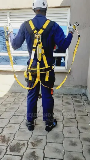 Buy Safety Panacea Full Body Harness At Wholesale Prices