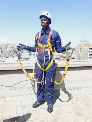 Buy Vaultex Full Body Harness Easy To Use