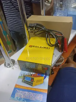 Hg12v 24v BLM 866pulse Repair Charger