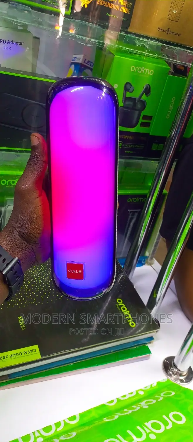 Powerful Portable Speaker
