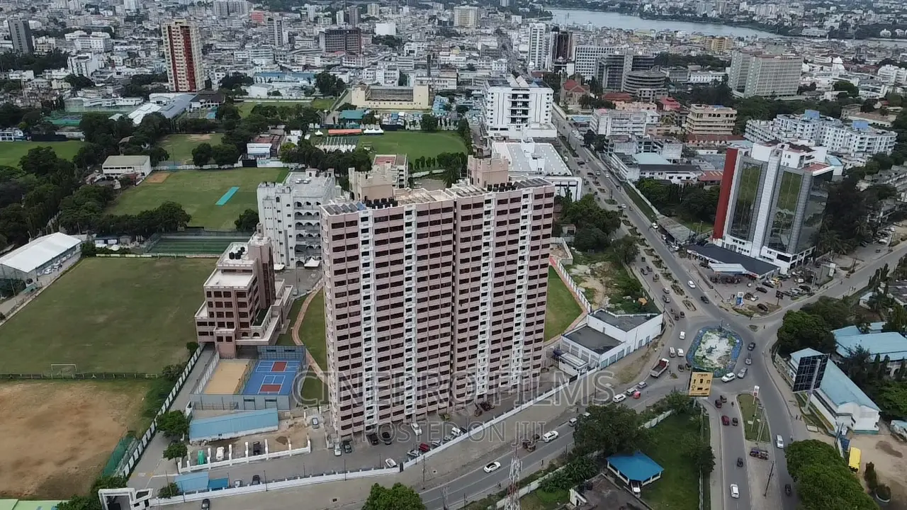 Drone Services