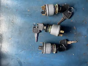  Key Starting Ignition Switch- STEYR/SHACKMAN SX2190