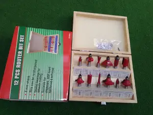 12pcs Router Bits Set