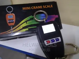 Mini Crane Scale (200kgs Electronic Scale