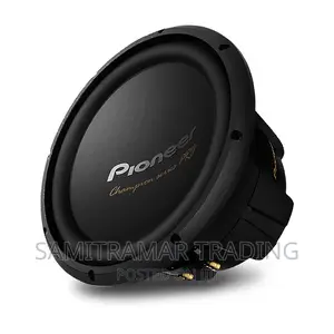 Ts-W3004d4 New Pioneer Champion Pro Series 2400w Sub Woofer