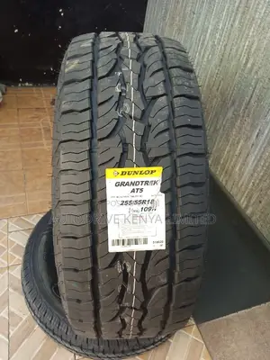 255/55r18 Dunlop All-Terrain