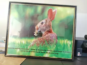 A2 Sizes All Colors Photo Frames, Picture Frames