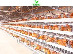Fully Galvanized Battery Cages 4floor Layer Cages