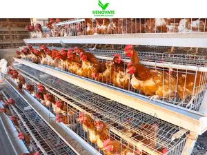 Fully Galvanized Battery Cages 4floor Layer Cages
