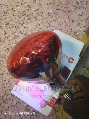 250w Chicken Bulb