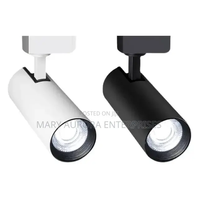 Track Lights/Spotlight