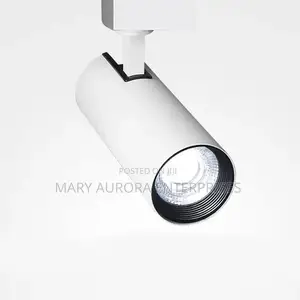 Track Lights/Spotlight