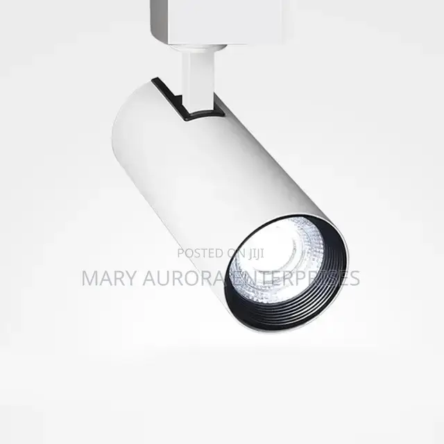Track Lights/Spotlight
