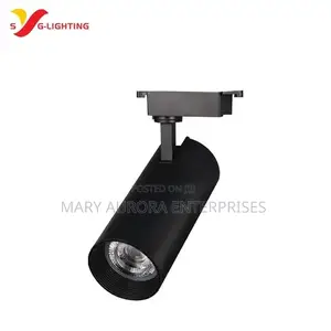 Track Lights/Spotlight