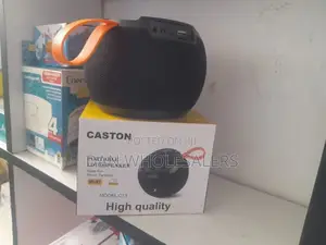 FM/BT C15 BASS Bluetooth Portable Speaker
