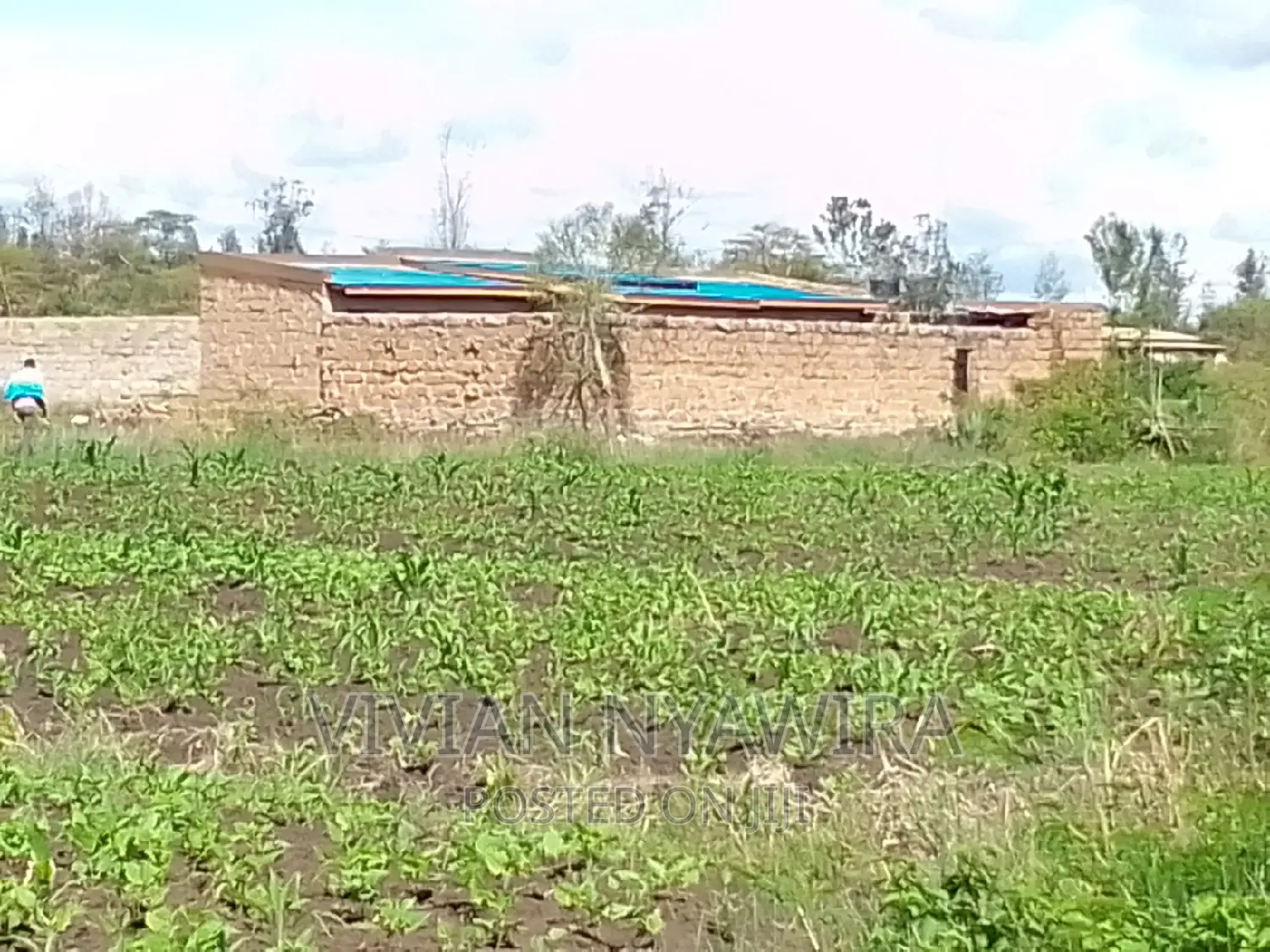 Plot for Sale