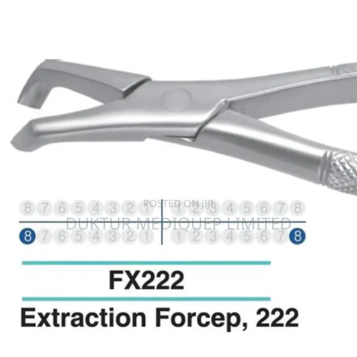 Dental Extraction Forcep Lower Molars