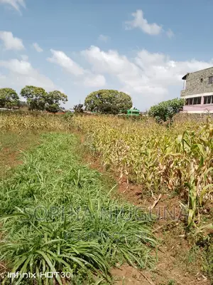 Prime Highway Frontage Commercial Land for Sale/Lease, Kwambira