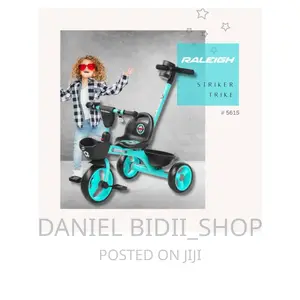 Blue Raleigh Kids Tricycle