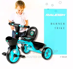 Blue Raleigh Tricycle Kids Bike