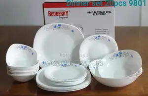 20 PCS Blue Print Dinner Set
