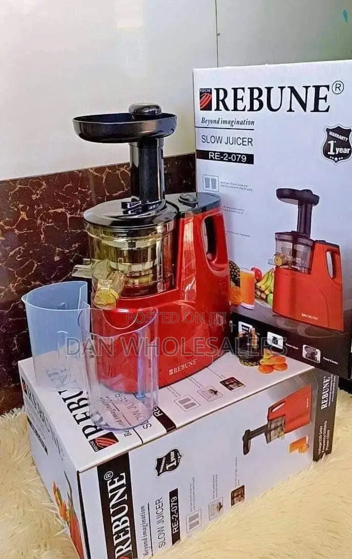 Rebune Slow Juicer 2-079