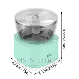 Mini Food Processor With 2 Blade Options