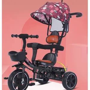 Foldable Toddler Bike Kids Tricycle Push Handle Andcanopy