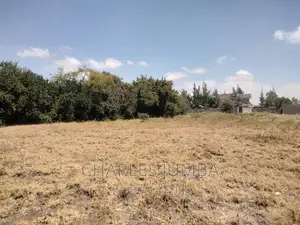 1/4 Acre Plot in Chuna B