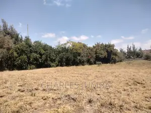 1/4 Acre Plot in Chuna B