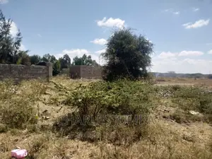 1/4 Acre Plot in Chuna B