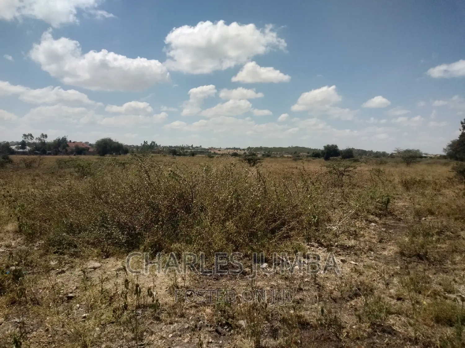 1/4 Acre Plot in Chuna B
