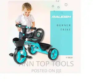 Blue Raleigh Tricycle Kids Bike