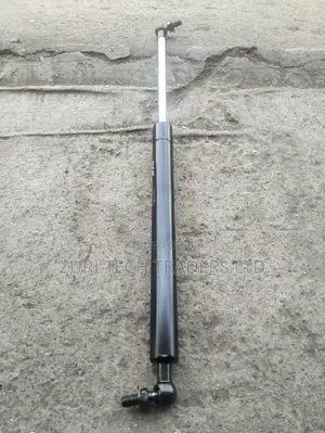 FJ 100 Bonnet Shocks