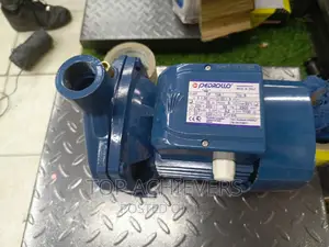 Quality Pedrollo Water Pump 1hp