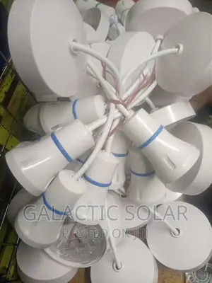 Ceiling Rose