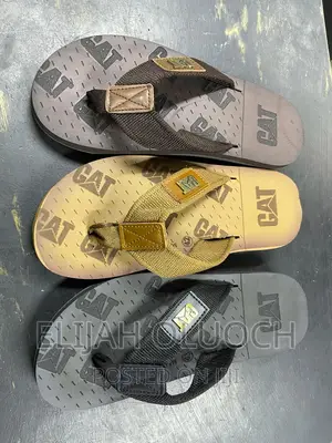 Lacoste Original Slides