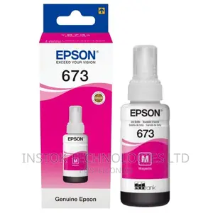 Epson T673 Ecotank Ink Bottle