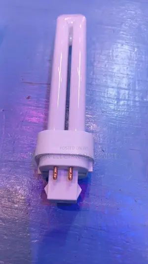 Pl Bulbs 18W