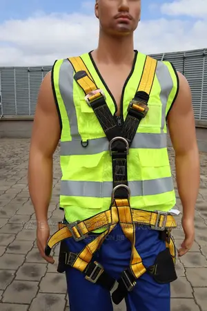 Get Parnecia Harness For Durable Construction